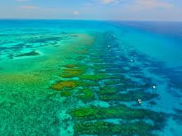 Image result for Looe Diving Club