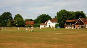 Image result for Ewhurst Cricket Club