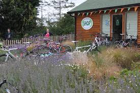 Image result for High Wycombe Cc