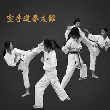 Image result for Ryusui-ryu Martial Arts School East Grinstead