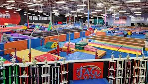 Image result for Fish trampoline and gymnastics club