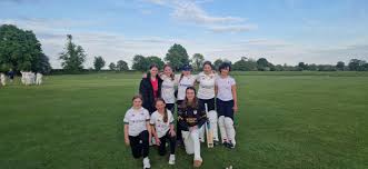 Image result for Alne Cricket Club