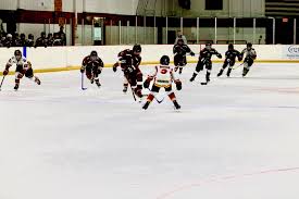 Image result for Manchester Roller Hockey Club