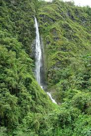 Výsledek obrázku pro yungas