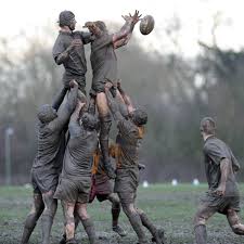 Image result for West Bank Amateur Rugby League Football Club