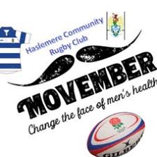 Image result for Haslemere Community Rugby Club
