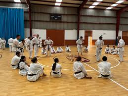 Image result for Woodley Karate Club