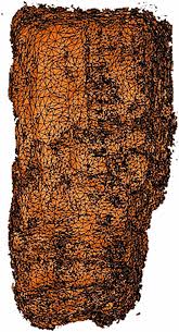 Image result for papirum