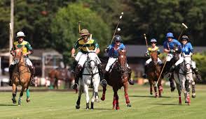 Image result for Inglesham Polo Centre