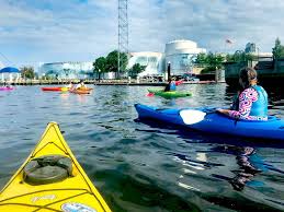 Image result for Paddletastic
