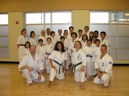 Image result for Aylesbury Vale Seido Karate