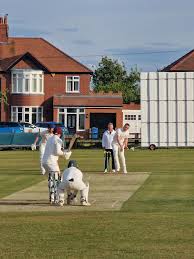 Image result for Warkworth Cricket Club