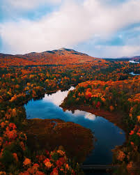 Image result for $$fall_akte__ort$$