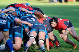 Image result for Chester Rugby Union Football Club