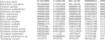 Attēlu rezultāti vaicājumam “Reticularia sp.”