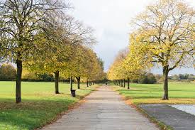 Image result for Hainault & Clayhall Cricket Club