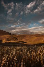 Image result for clouds