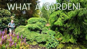 Image result for Arboretum Trompenburg