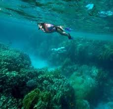 Image result for Ruislip Snorkelling Club
