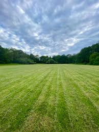 Image result for Egham Rfc