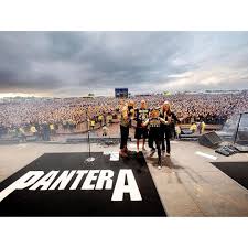 Afbeeldingsresultaat voor panters