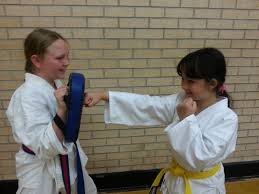 Image result for Leighton Buzzard Tae Kwon-Do Club