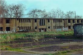 Image result for Upwood Cc