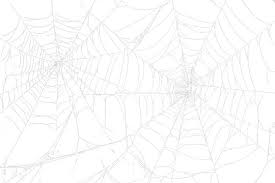 Image result for web patterns