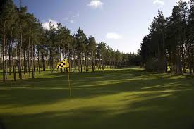 Image result for Brechin Golf Club