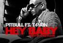 Free download Pitbull   Hey Baby  Drop It To The Floor  ft T Pain