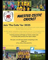 Image result for Maesteg Celtic Athletic & Social Club