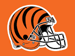 Alternate Flair Request : bengals
