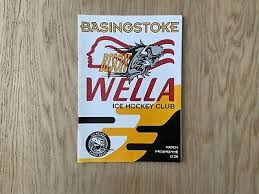 Image result for Basingstoke Bison Ice Hockey Club