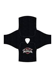 Image result for Farnborough Arrows