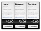 http://www.psdgraphics.com/wp-content/uploads/2010/06/pricing-table.jpg
