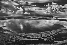 Image result for sebastiao salgado