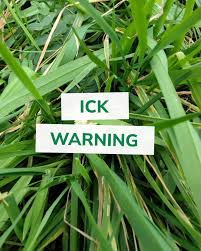 Attēlu rezultāti vaicājumam “Didymium spongiosum macro”