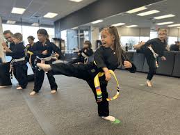 Image result for Martial Arts Karate Mesa AZ
