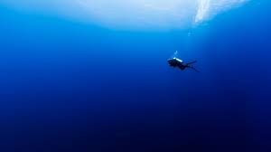 Image result for Deep and Wide Diving