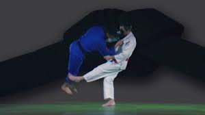 Image result for Judo Excellence