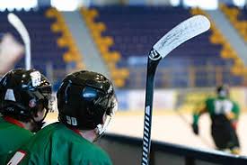 Image result for Ealing Eagles Ball Hockey Club