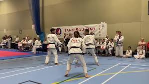 Image result for Tang Sou Dao Ren Yi Wu Kwan - Huntingdon