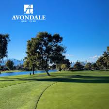Image result for Avondale Gc