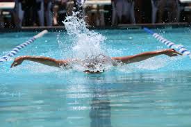 Image result for Sedgefield 75 Swimming Club