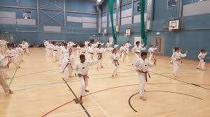 Image result for Hed Tkd (Dorking Tae Kwon-Do)