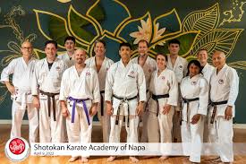 Image result for Ifield Shotokan Karate Club