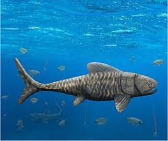 Attēlu rezultāti vaicājumam “Placodermi”