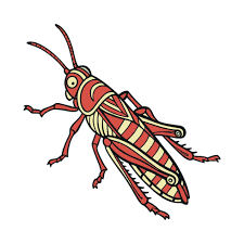 Attēlu rezultāti vaicājumam “Myrmeleotettix maculatus”