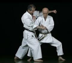 Image result for Colchester Wado Ryu Karate