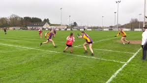 Image result for Carryduff Gaelic Athletic Club